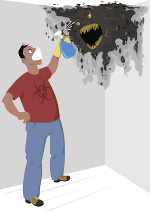 professional mold removal services should be called