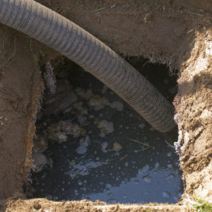 ANY septic system requires septic tank pumping