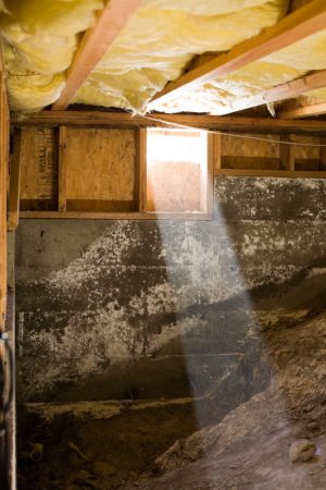 One of those is crawl space mold removal