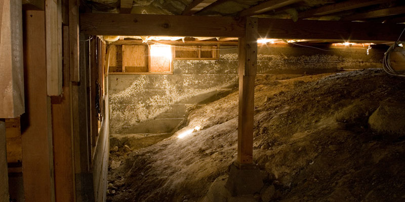 What Happens During Crawl Space Mold Removal