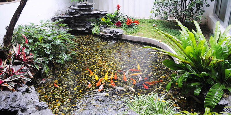 Questions to Ask Your Pond Contractor Before Commencing the Project
