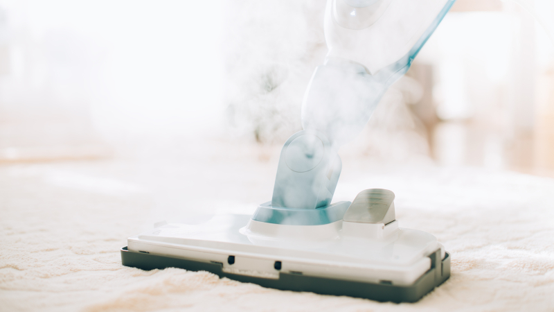 Why Choose Steam Cleaning for Your Home? 