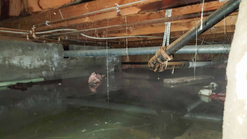 Five Reasons Why You Shouldn't Do Water Damage Restoration Yourself