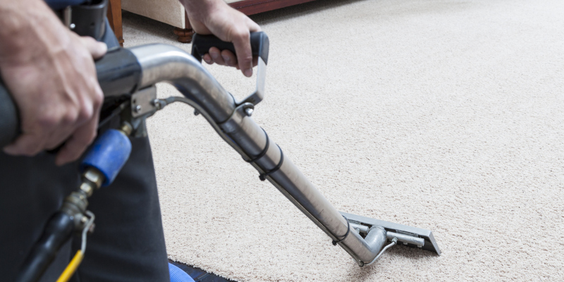 The Benefits of Professional Carpet Cleaning: No More Dust and Dander!