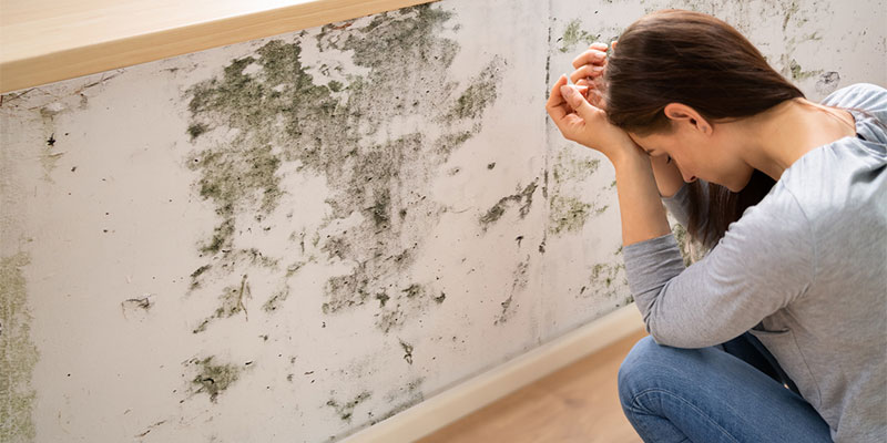 The Benefits of Professional Home Mold Testing