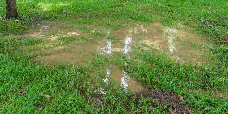 Red Flags That Indicate Your Property Has Drainage Problems
